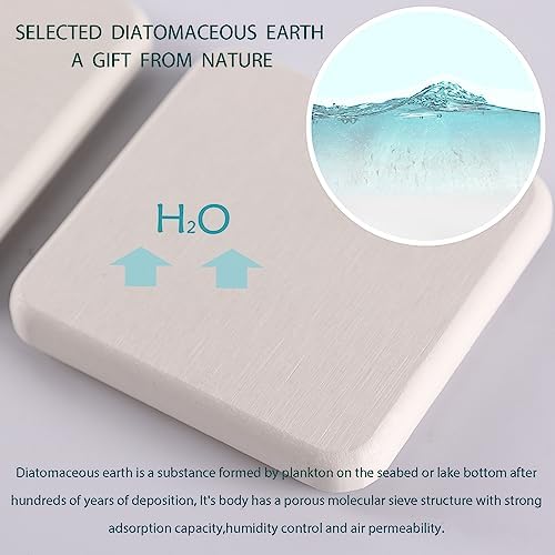 NiuYichee 2 Pcs Water Absorbing Stone Trays White