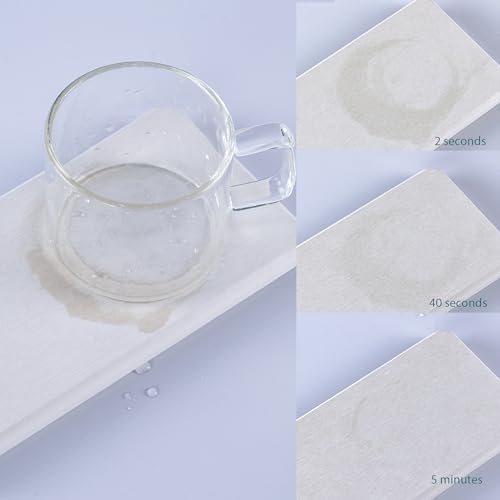 NiuYichee 2 Pcs Water Absorbing Stone Trays White