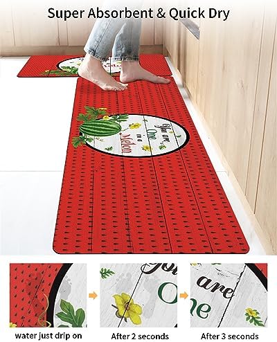 2PCS Summer Watermelon Bath Mat Non-Slip Diatomite Set